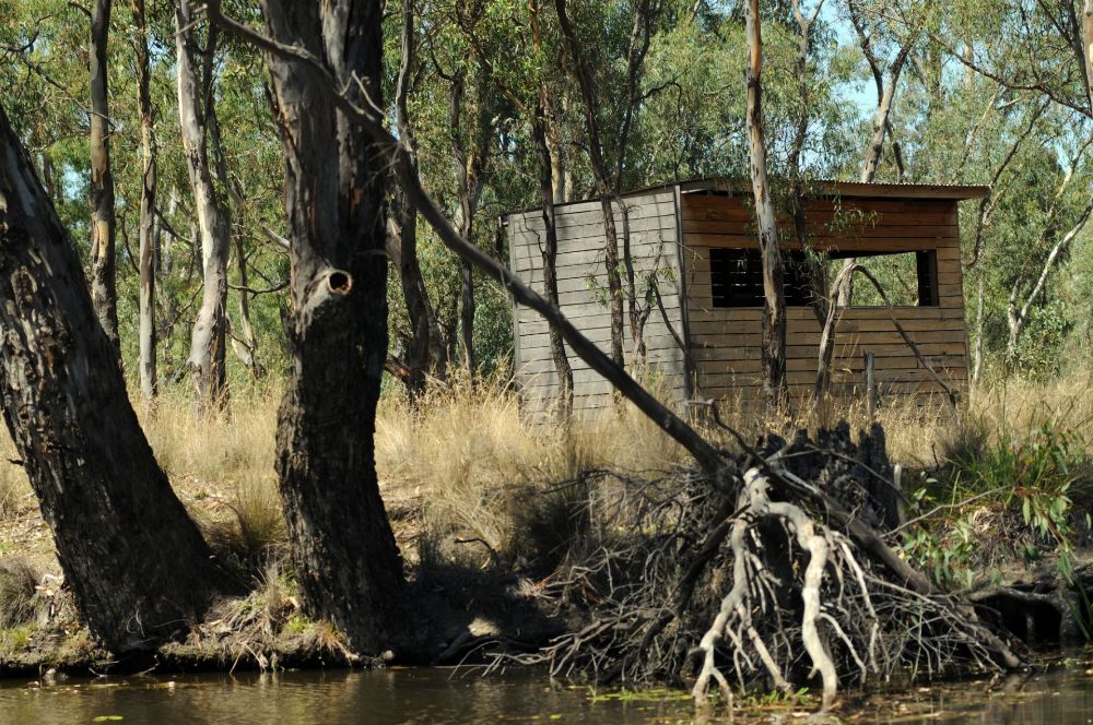 Wetlands Birdhides